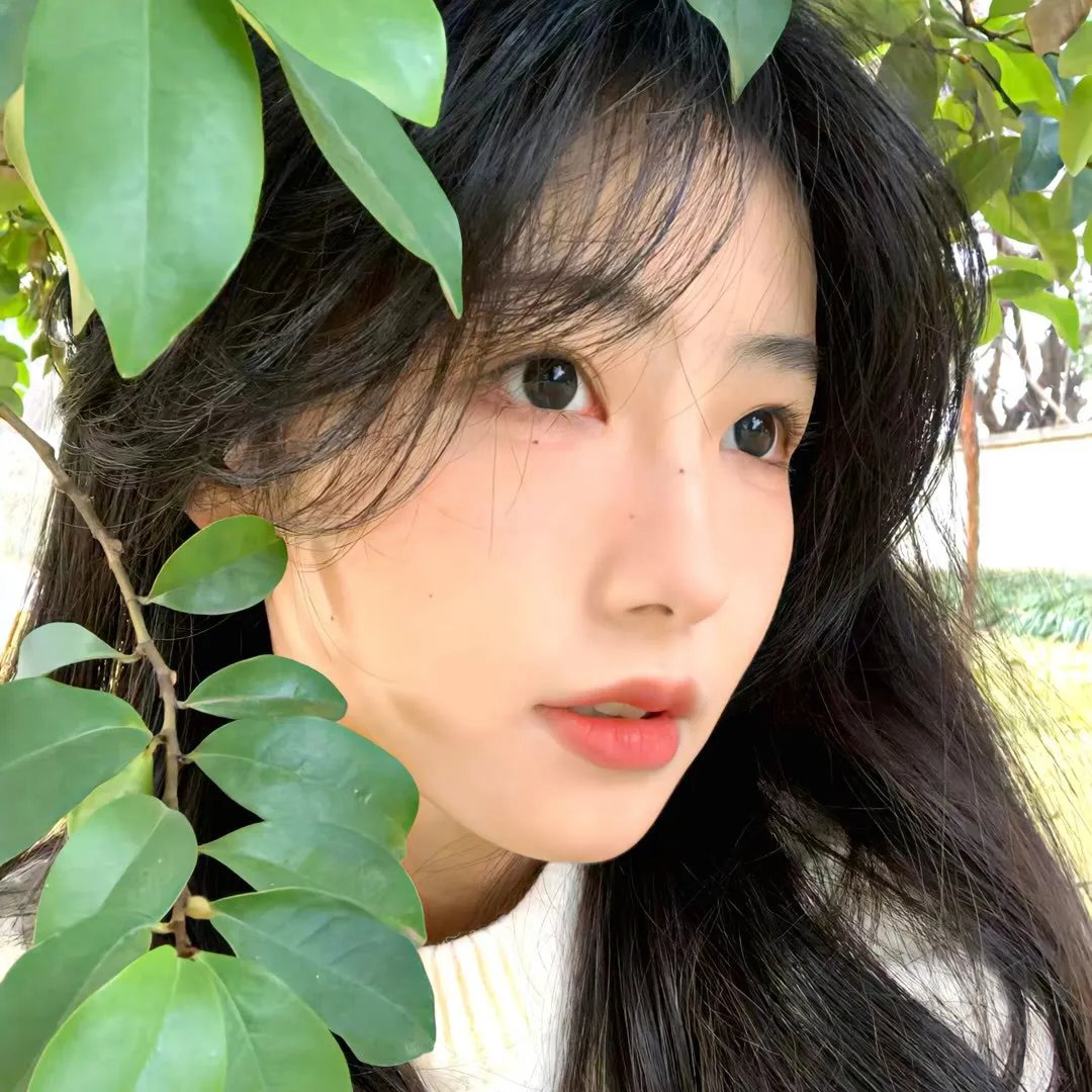 爱欲宝鉴